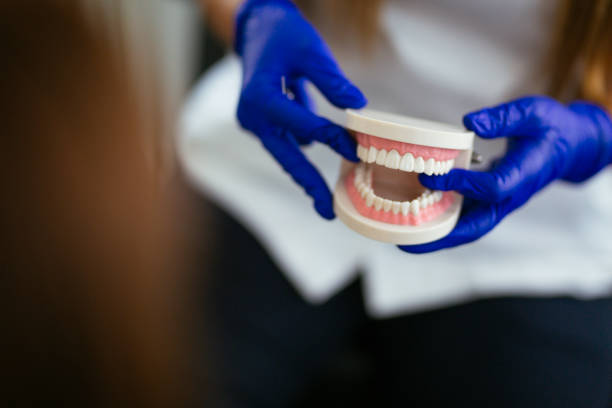 Best Dentures (Full and Partial)  in Bradford, TN